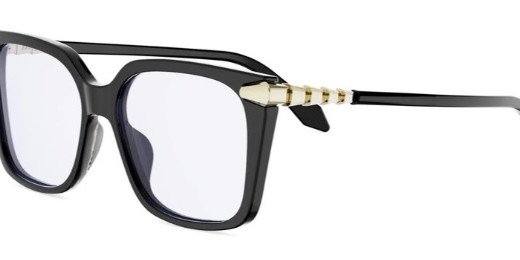BV 50061I 001